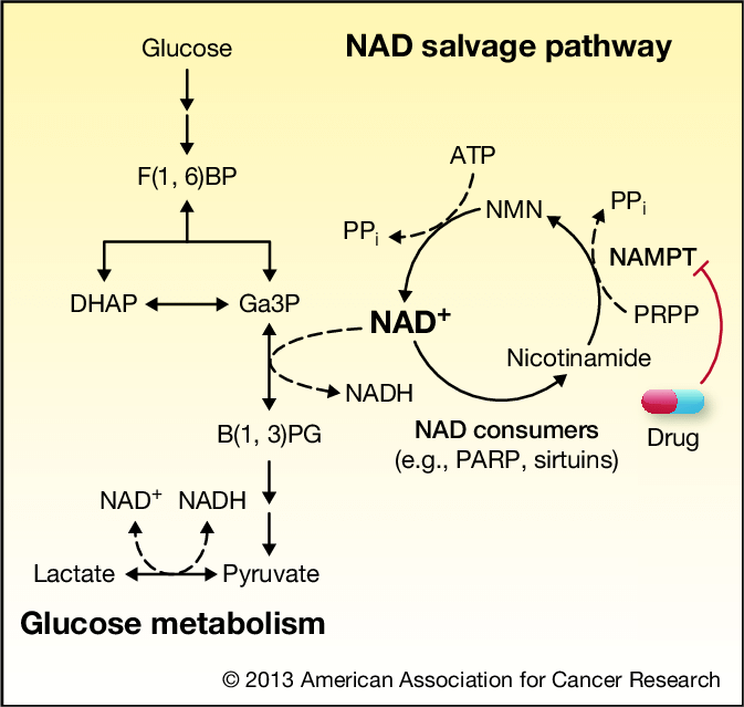 74a41be8a097d9fd166c670db6f8c012_640_wx_fmt=png&tp=webp&wxfrom=5&wx_lazy=1&wx_co=1