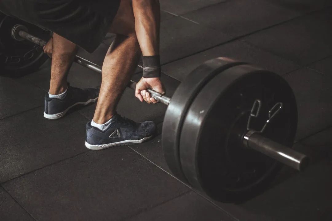 Mechanical stress, skeletal muscle growth, and intrinsic adaptation mechanisms